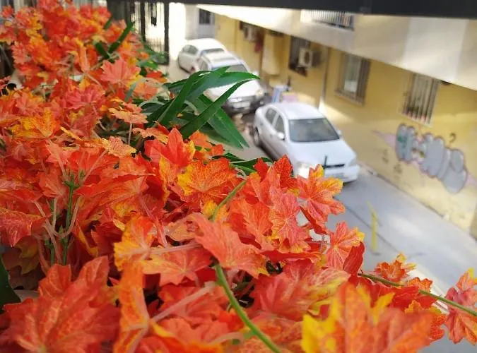 Zebra Alsancak Hotel *